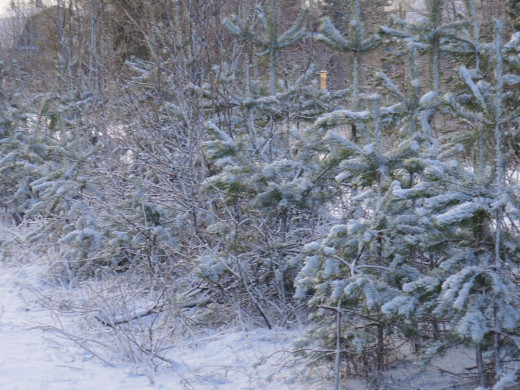 32189 (a): :1600x1200